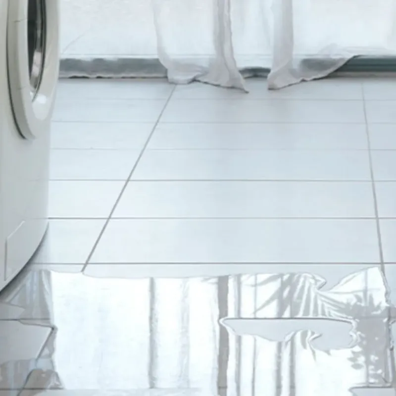 Appliance Leak Cleanup in Aurora, IL