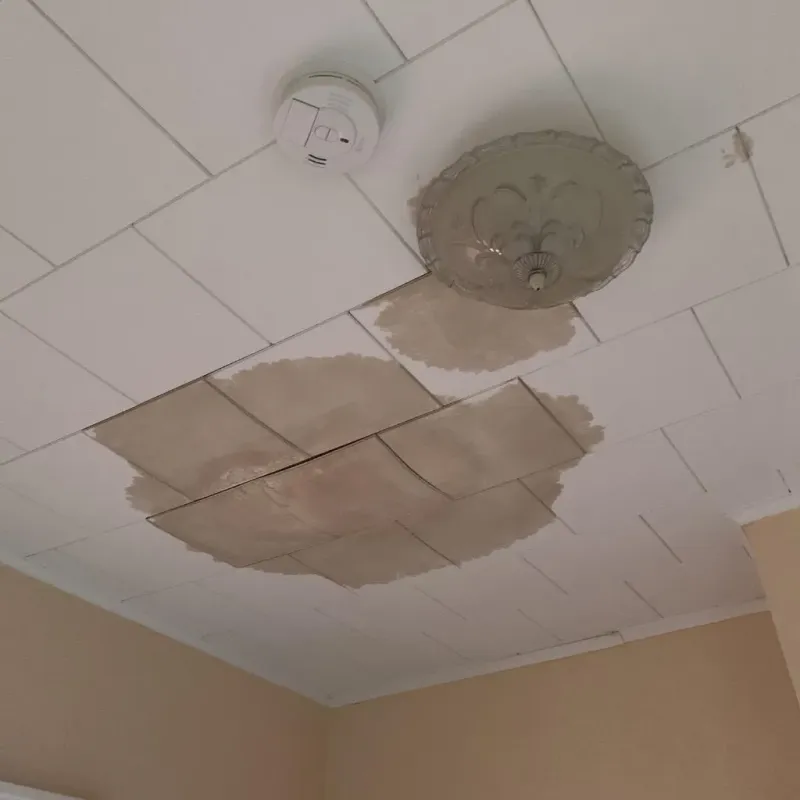 Ceiling Water Damage Repair in Aurora, IL