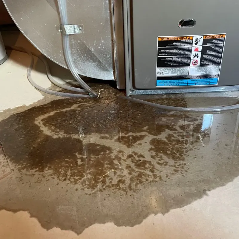Pipe Burst and Leak Restoration in Aurora, IL