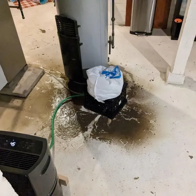 Sewage Backup Cleanup Service in Aurora, IL